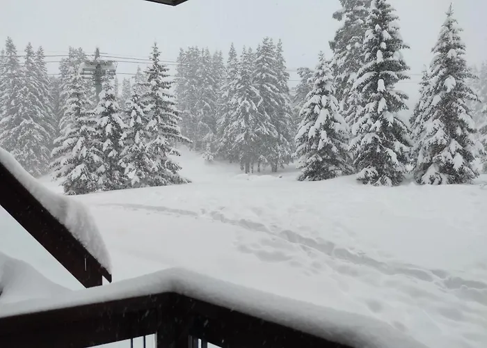 Douglas - Au Coeur Du Jardin Alpin *