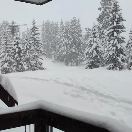 Douglas - Au Coeur Du Jardin Alpin *